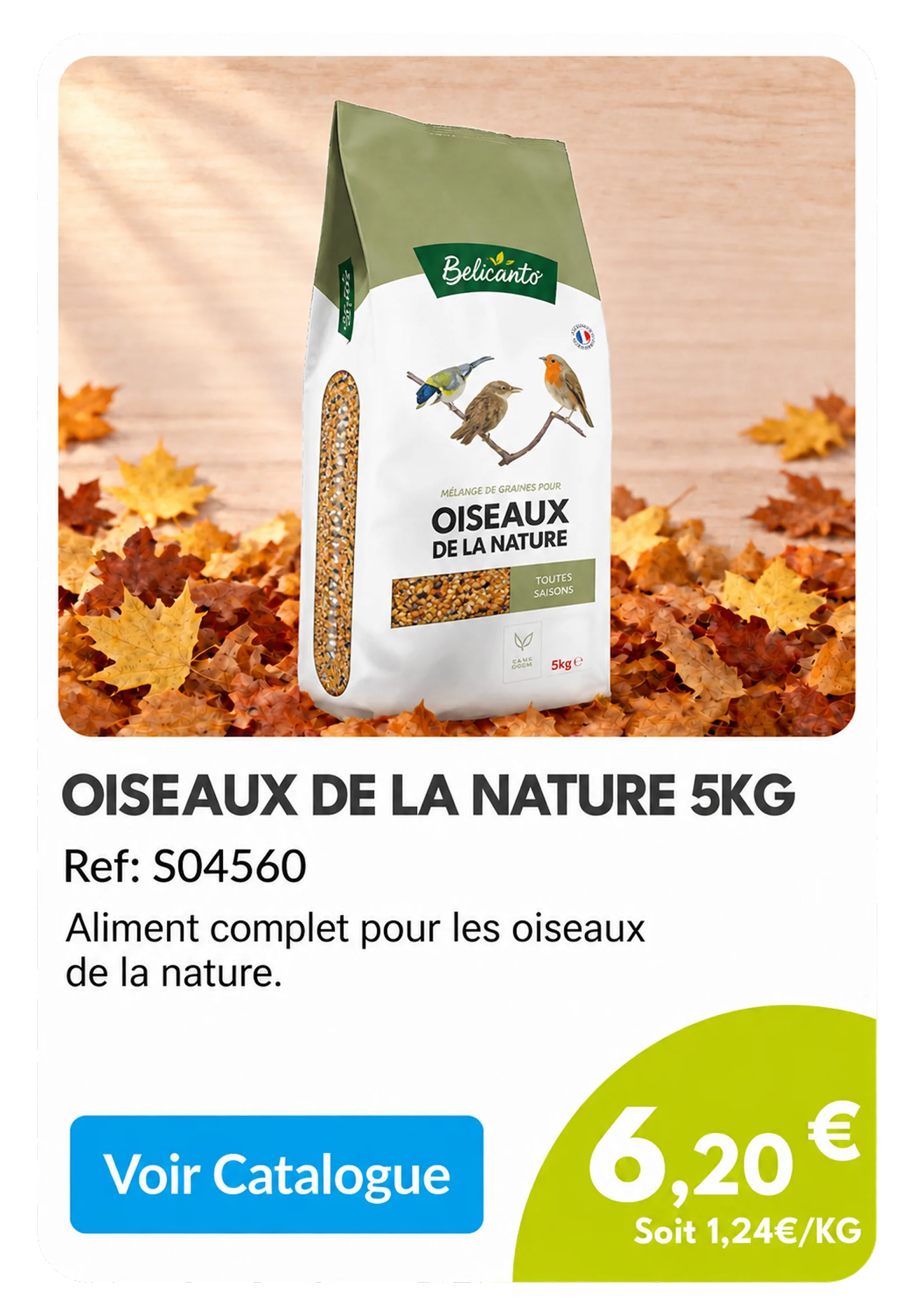 Card_Automne_03