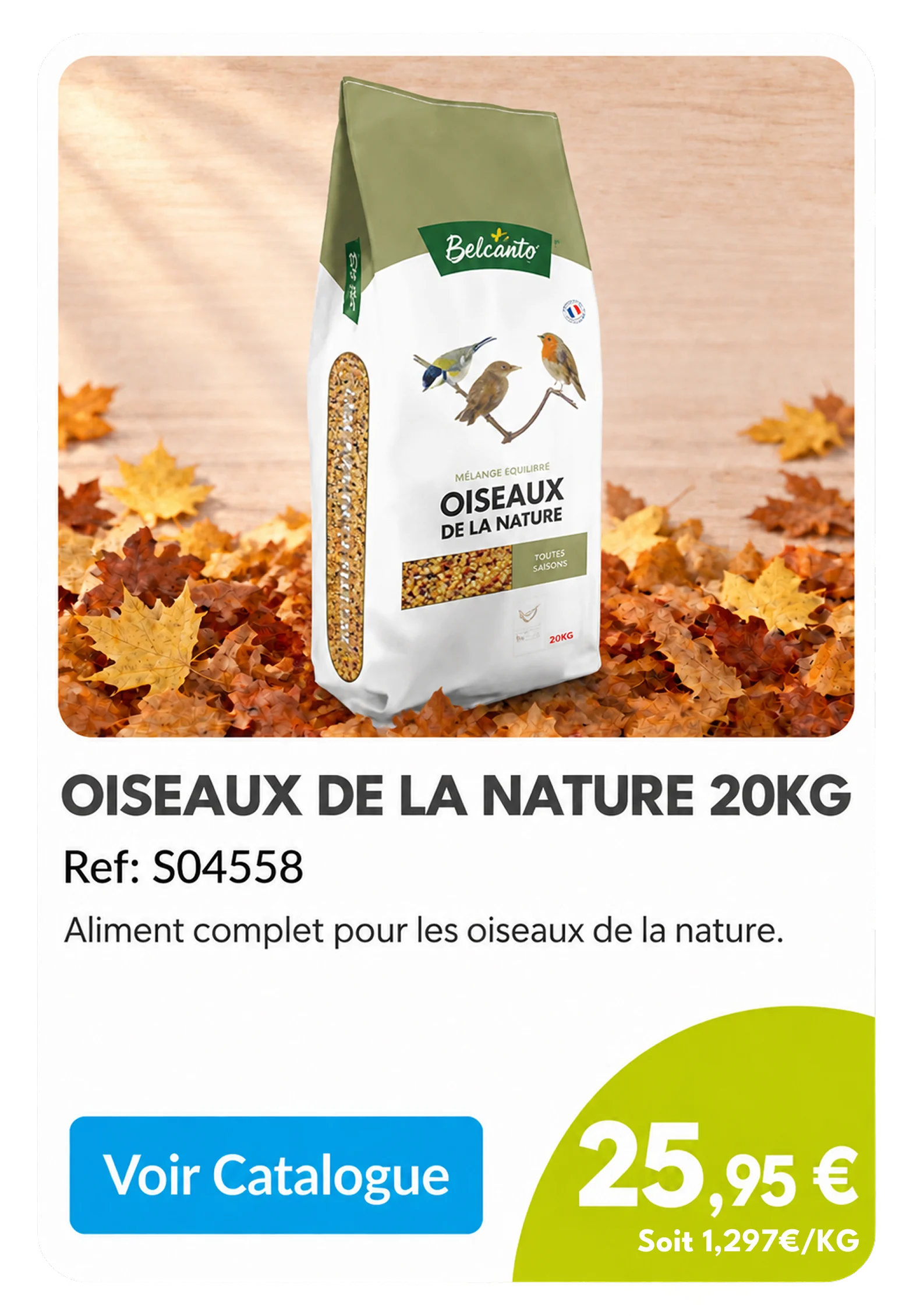 Card_Automne_04_v2