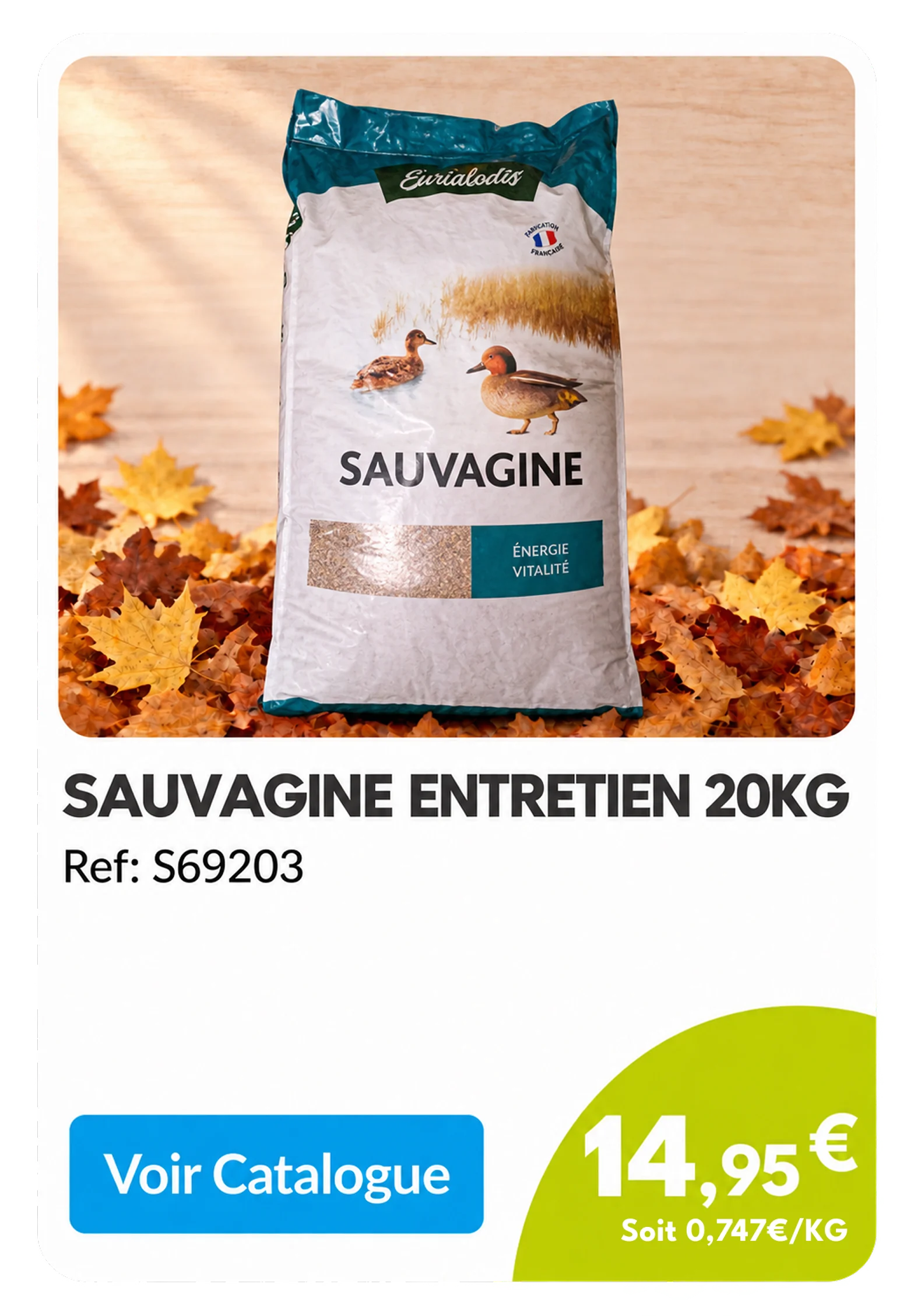 Card_Automne_05_v2